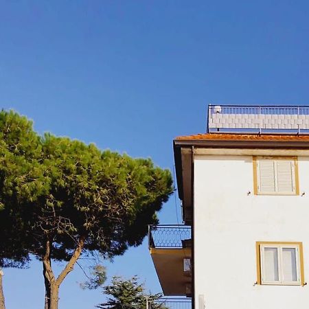 Domus Cedri Apartment Santa Maria Del Cedro Exterior photo