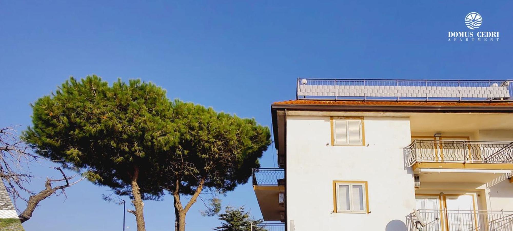 Domus Cedri Apartment Santa Maria Del Cedro Exterior photo